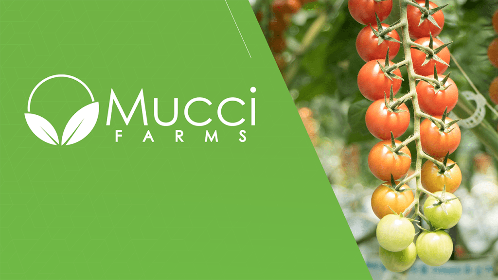Cox Makes Strategic Investment in Mucci Farms Cox Cleantech