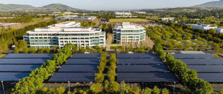 Solar panels with buildings in the background