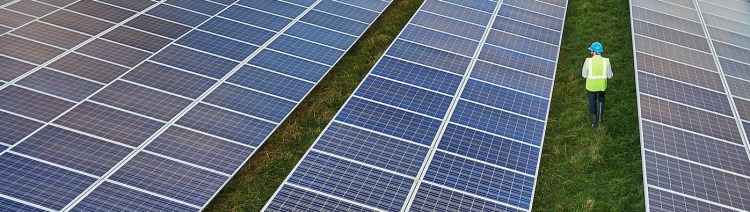 Man walking through solar panel farm