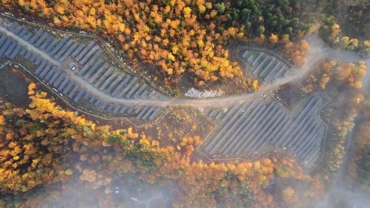 Aerial view of solar panels and trees 