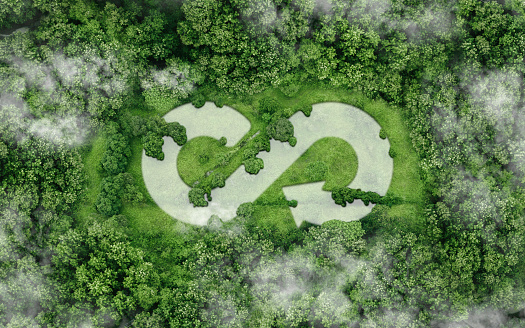 A forest with a symbol representing circular economy